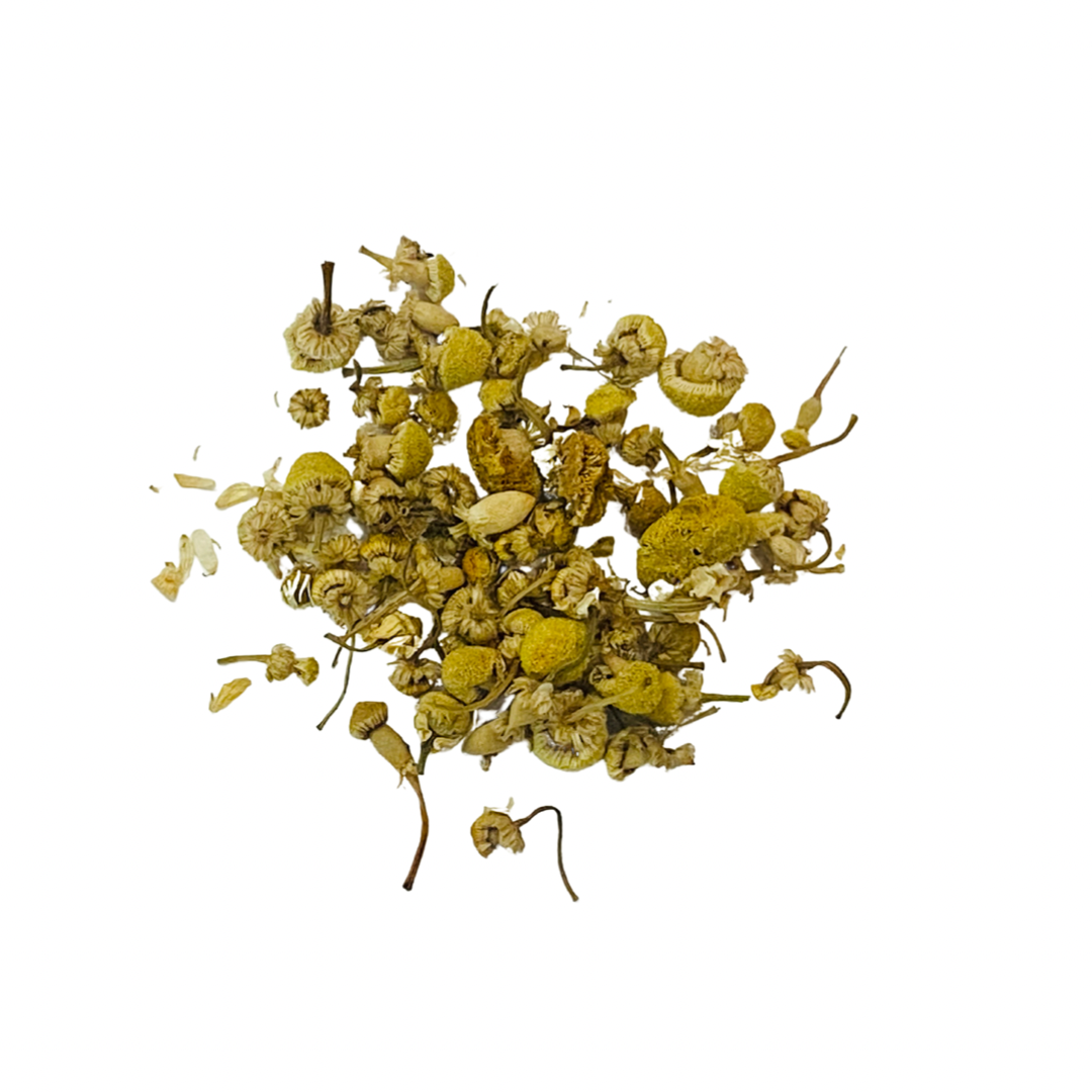 Egyptian Chamomile