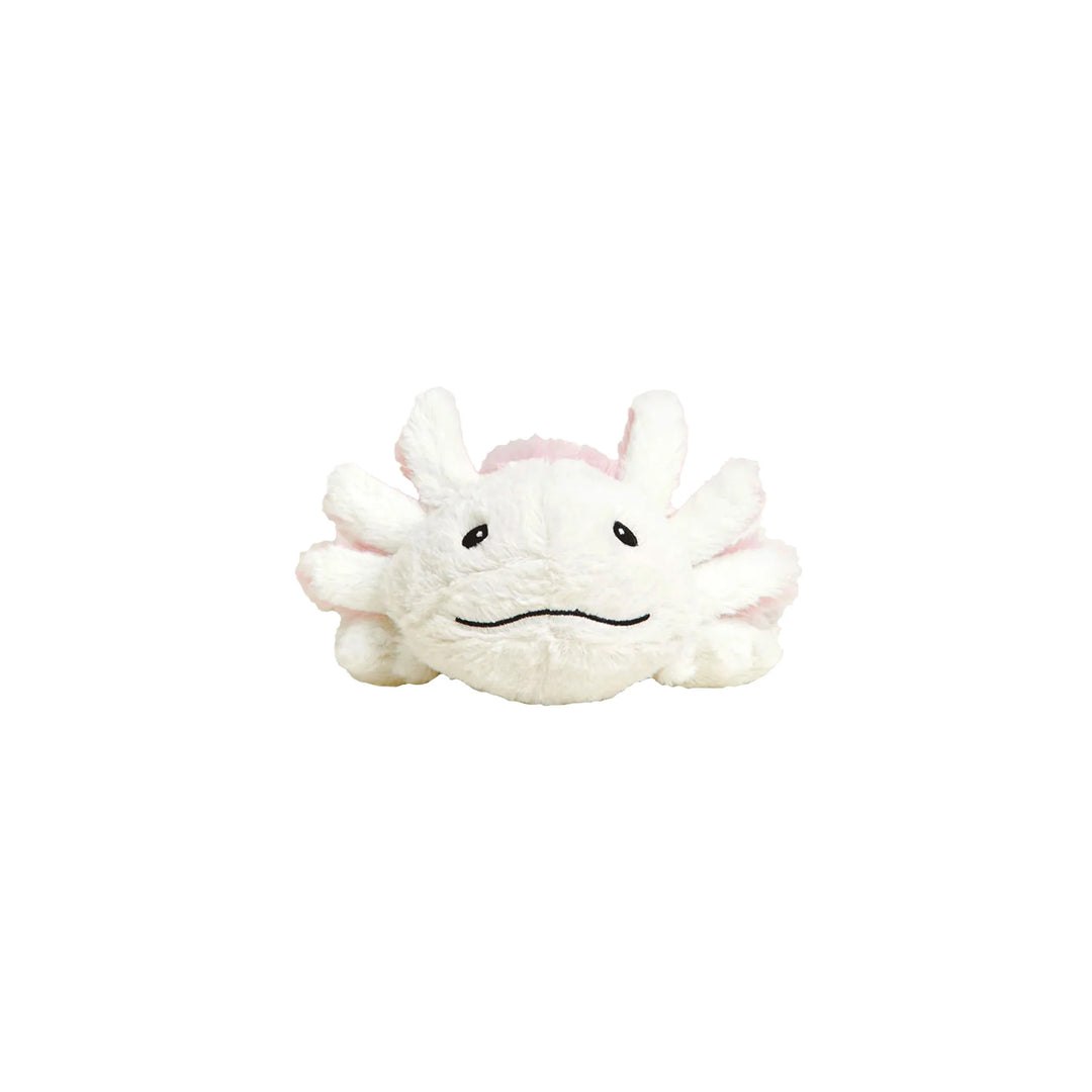 Axolotl Junior
